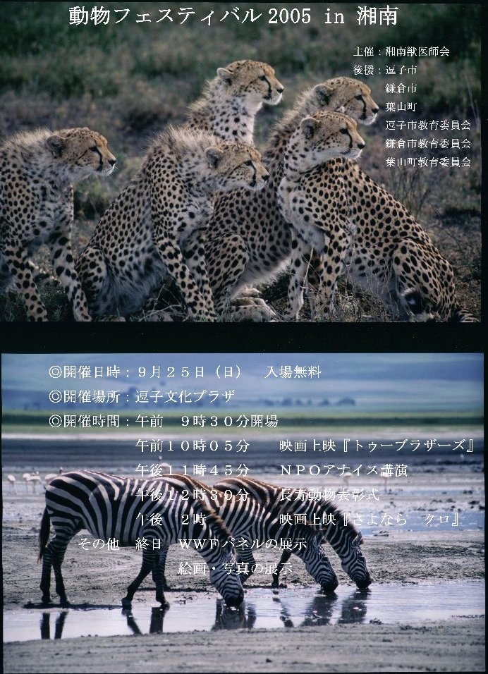 �����t�F�X�e�B�o��2005 in �Ó�